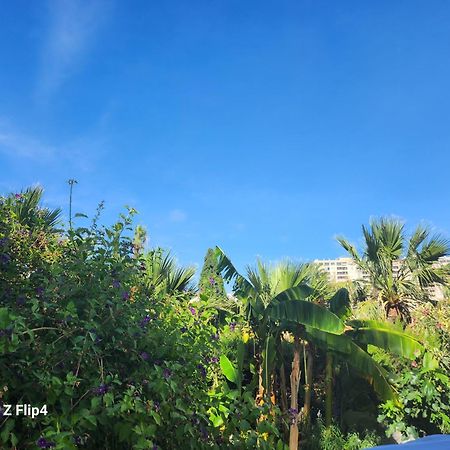 Deluxe Studio Athos 50 Mp Garden Patio Benalmadena Golf & Beach المظهر الخارجي الصورة