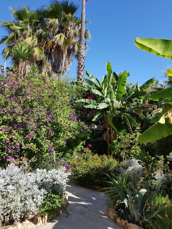 Deluxe Studio Athos 50 Mp Garden Patio Benalmadena Golf & Beach المظهر الخارجي الصورة