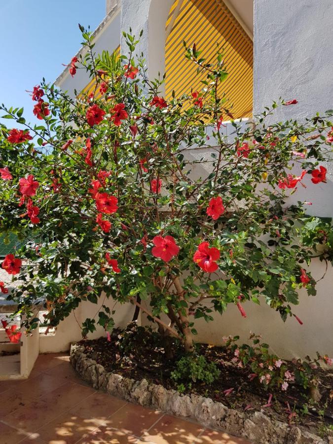 Deluxe Studio Athos 50 Mp Garden Patio Benalmadena Golf & Beach المظهر الخارجي الصورة