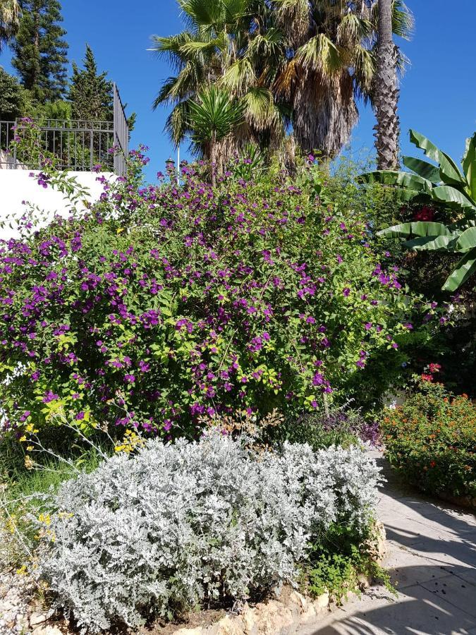 Deluxe Studio Athos 50 Mp Garden Patio Benalmadena Golf & Beach المظهر الخارجي الصورة