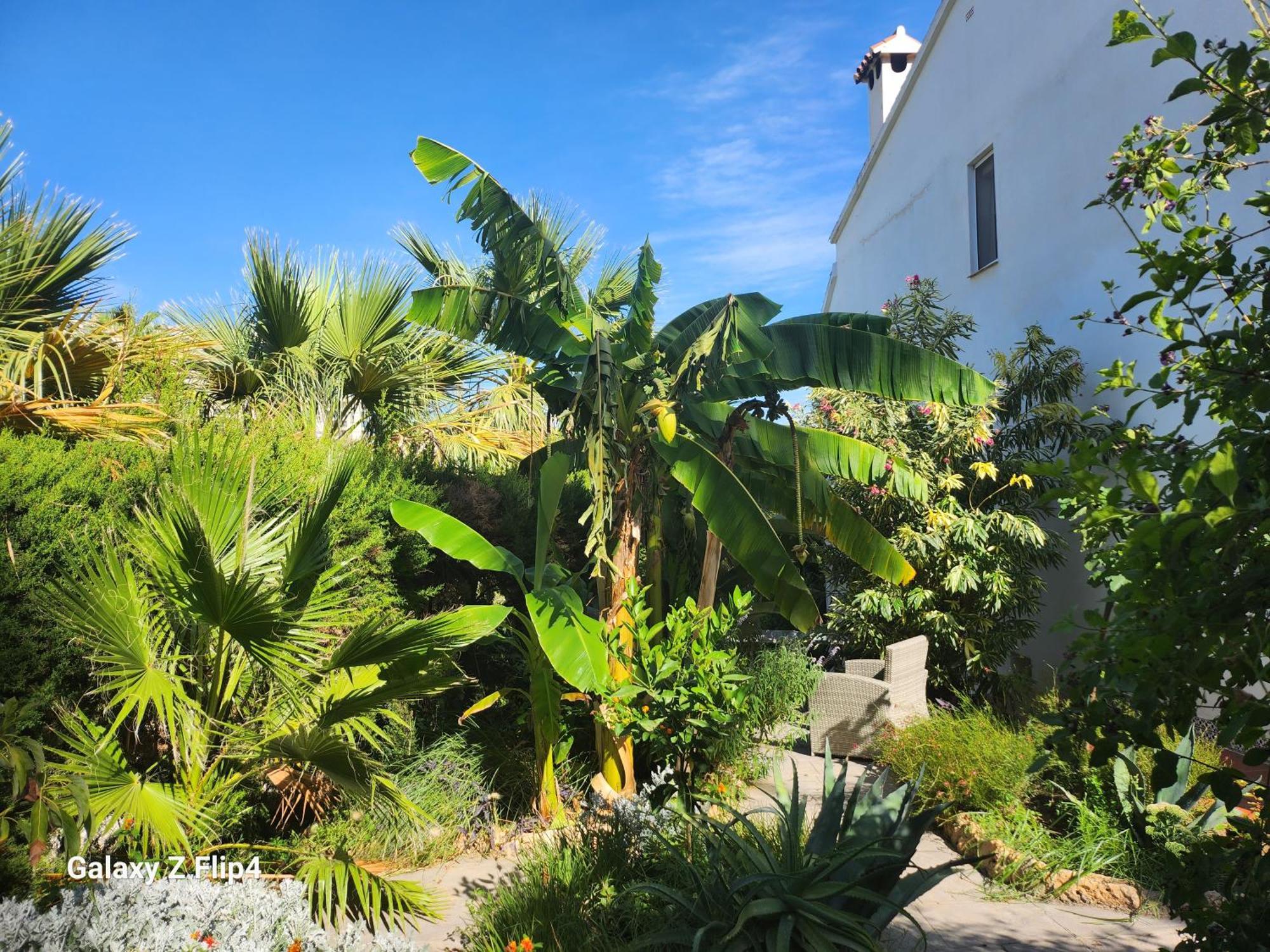 Deluxe Studio Athos 50 Mp Garden Patio Benalmadena Golf & Beach المظهر الخارجي الصورة