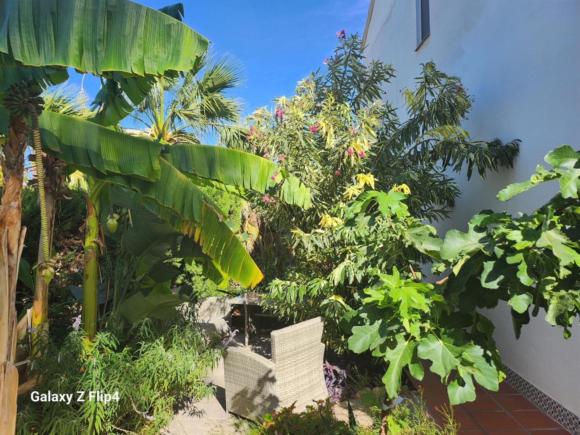 Deluxe Studio Athos 50 Mp Garden Patio Benalmadena Golf & Beach المظهر الخارجي الصورة