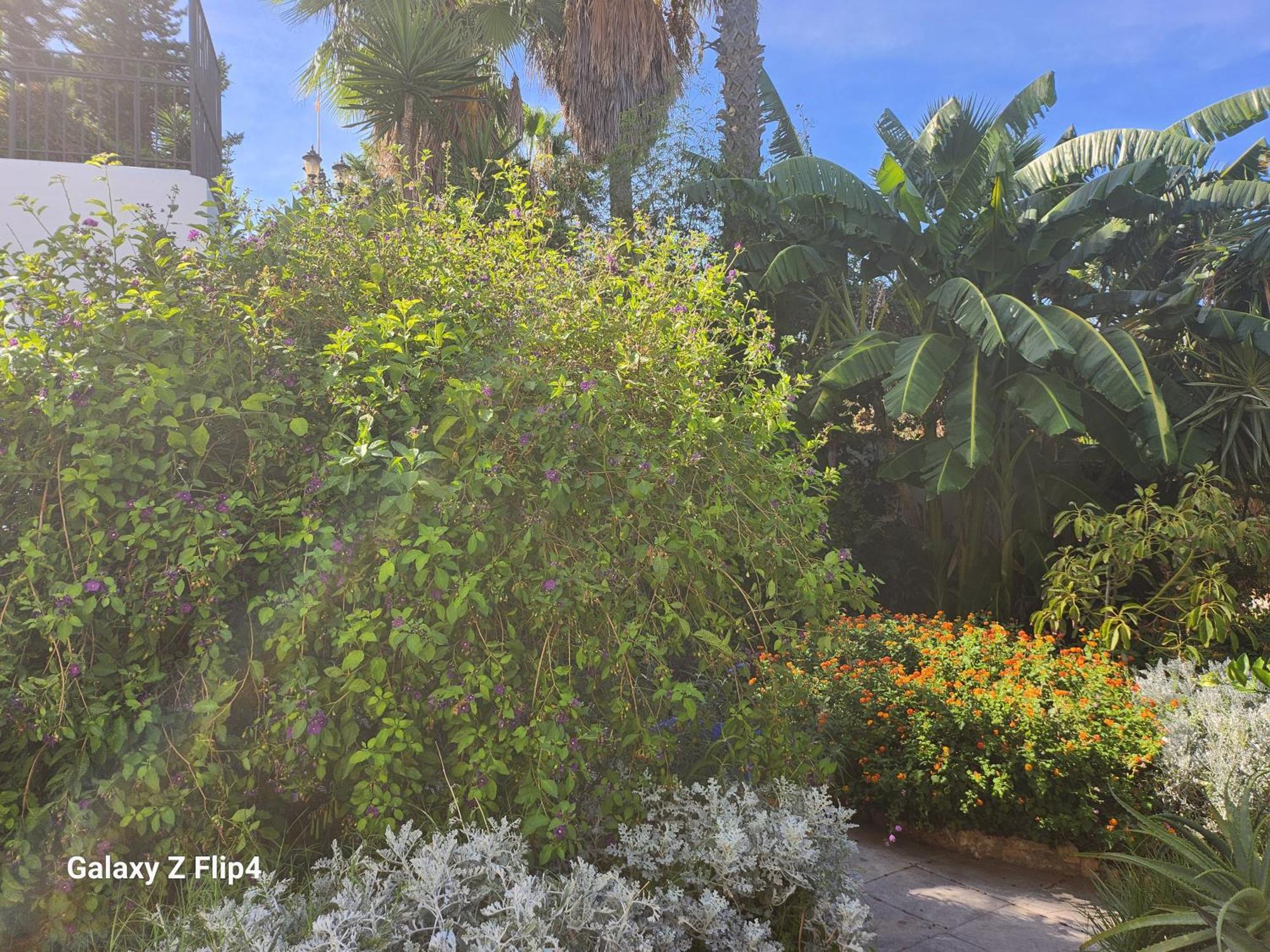 Deluxe Studio Athos 50 Mp Garden Patio Benalmadena Golf & Beach المظهر الخارجي الصورة